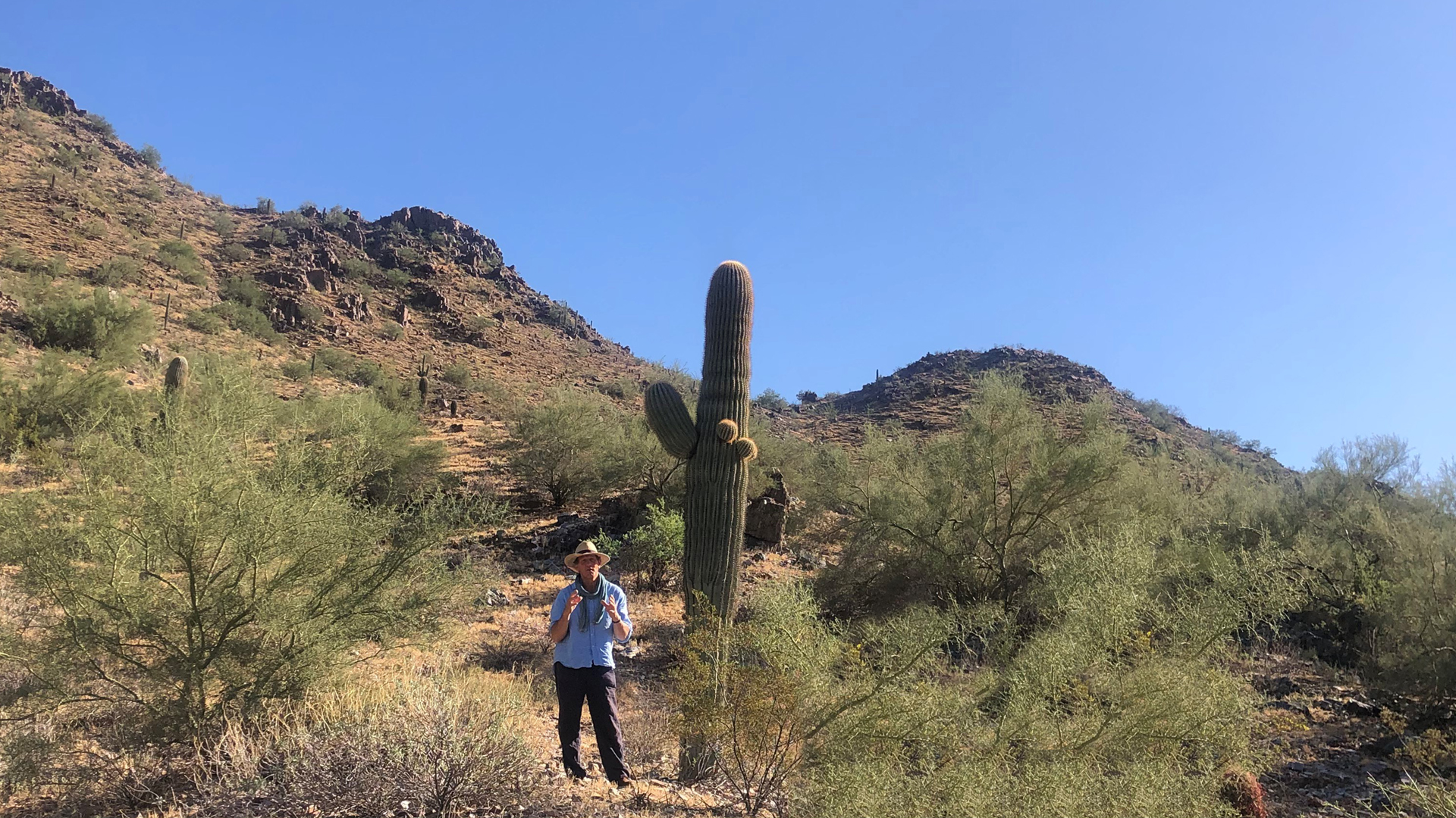 Monty Don's American Gardens E3 Monty Don's American Gardens